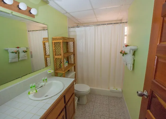 Hotel Banana 3*