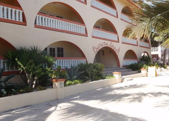 Banana San Pedro (Ambergris Caye)