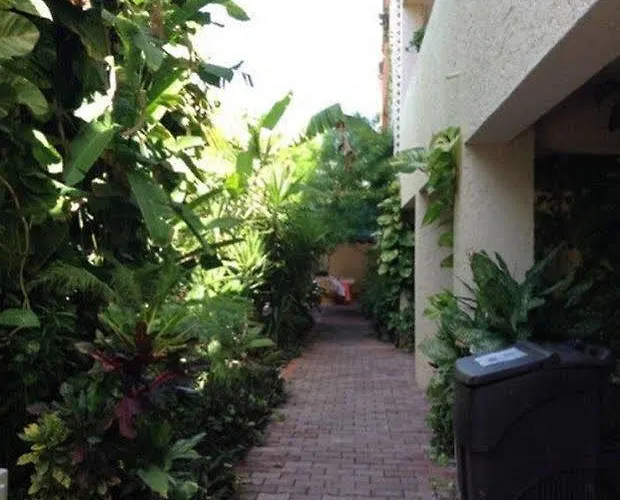 Hotel Banana 3*