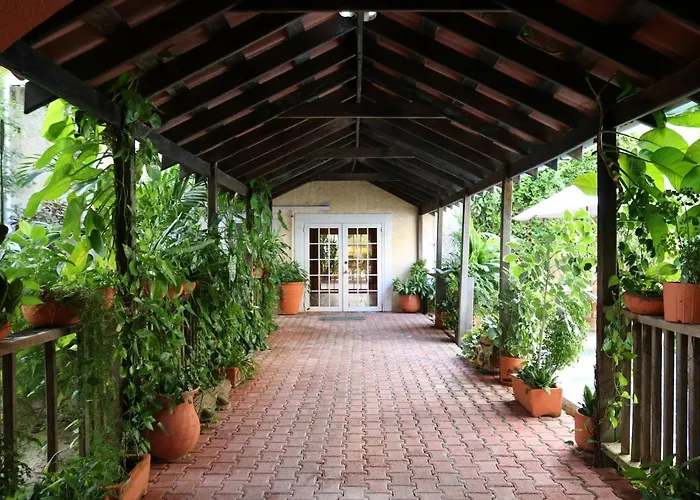 Banana Hotel San Pedro (Ambergris Caye)