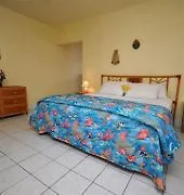 Banana Hotel 3*